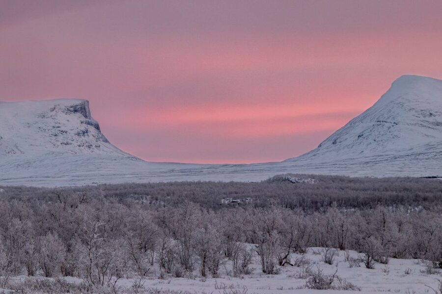 Abisko National Park: Scenic Morning Hike with Transfer - Is the $88 price fair?