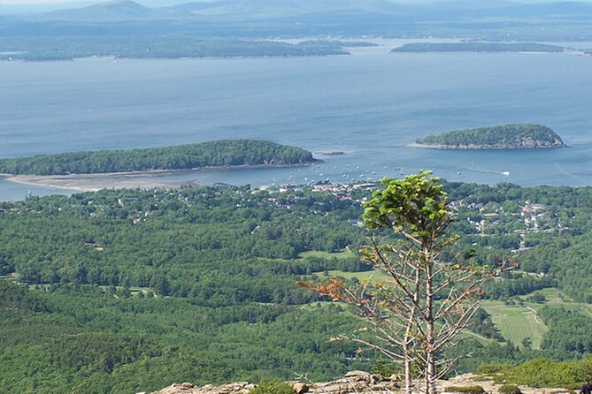 Acadia National Park & Boston 3-Day Tour from NYC | Kids 50% Off - Key points to know before booking