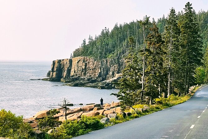 Acadia National Park Tour Sea to Summit - From Bar Harbor to Acadia’s quiet morning roads