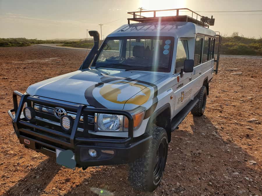 Addo Elephant National Park All Inclusive Full-Day Safari - How good is the $186 value?