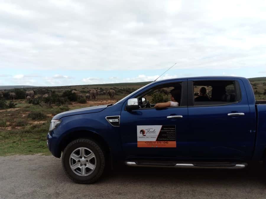 Addo Elephant National Park Game Drive Day Tour With Lunch - The first Addo game drive