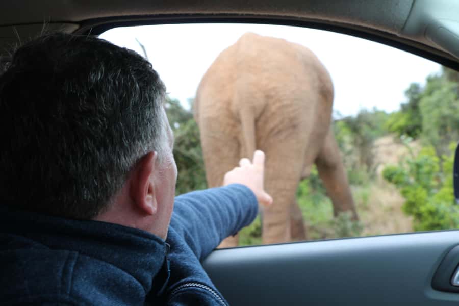 Addo Elephant National Park Game Drive Day Tour With Lunch - A South African braai for lunch