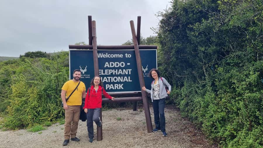 Addo Elephant National Park Half-Day Safari - Why Addo is such a good half-day safari choice