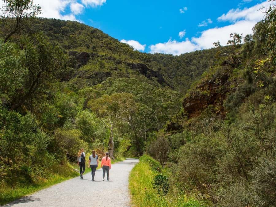 Adelaide: Morialta Wilderness and Wildlife Hike - Why Morialta makes a strong half-day choice