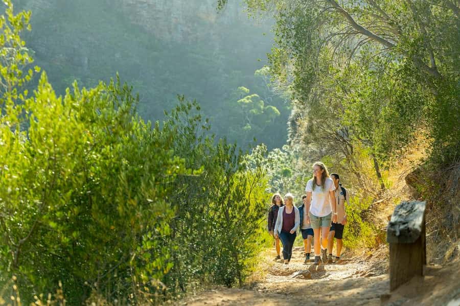 Adelaide: Morialta Wilderness and Wildlife Hike - From hotel pickup to the Morialta trails