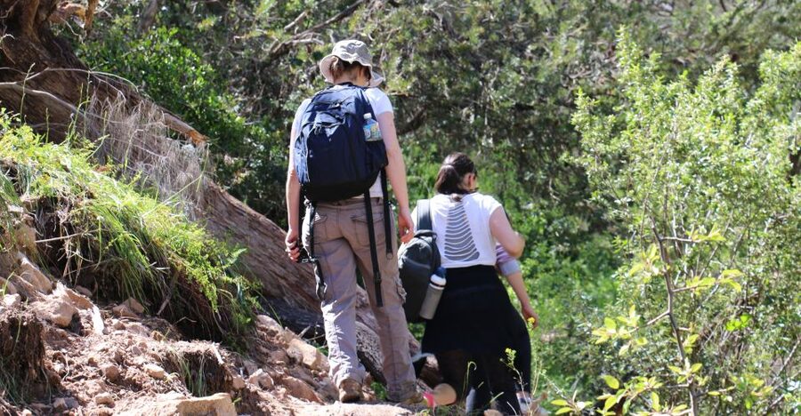 Adelaide: Morialta Wilderness and Wildlife Hike - Birdwatching with supplied binoculars