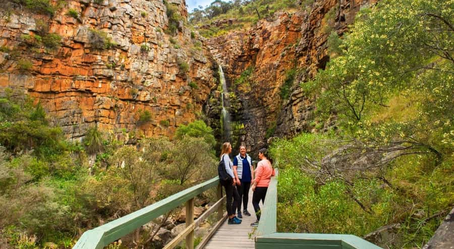 Adelaide: Morialta Wilderness and Wildlife Hike - Practical ways to get more from the morning