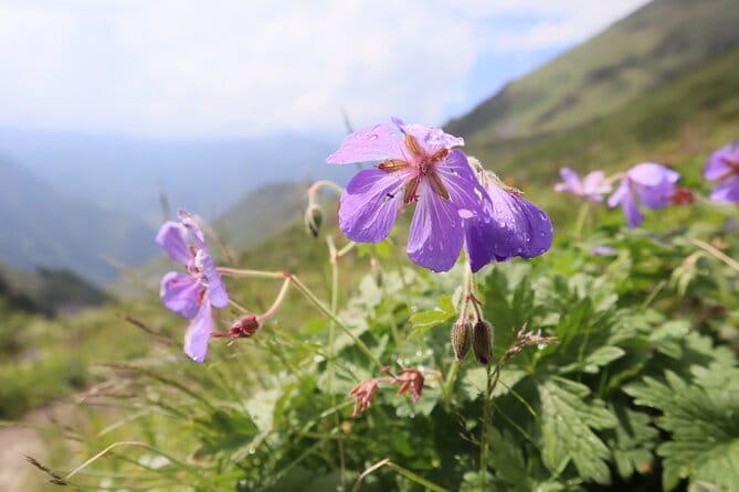 Adventure & Hike in Ala Archa National Park & Bishkek City Tour - Booking, cancellation, and final advice
