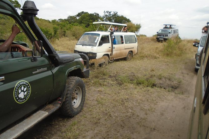 African Wildlife & Nature - 5 Kenya national parks - 6 day Jeep Safari - Lake Naivasha: a welcome change from the vehicle