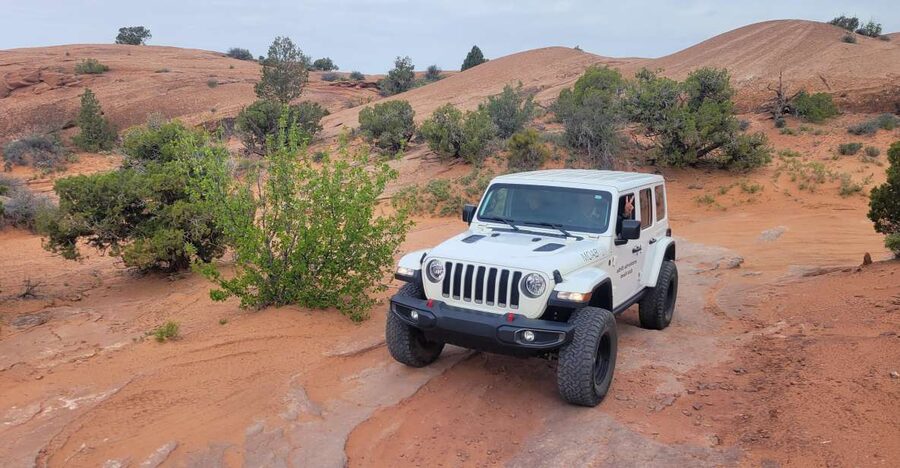 Afternoon Arches National Park 4x4 Tour - Why Arches has so many arches