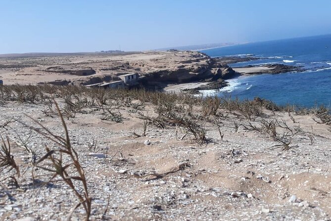 Agadir Day Excursion to Mini Sahara safari National Park Souss Massa by 4x4 - Why this Agadir day trip works well