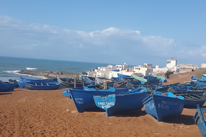 Agadir Day Excursion to Mini Sahara safari National Park Souss Massa by 4x4 - Tifnit, pottery, and the fishing village