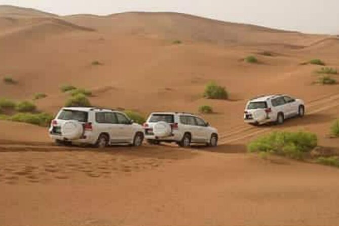Agadir Day Excursion to Mini Sahara safari National Park Souss Massa by 4x4 - Berber lunch with tagine and couscous