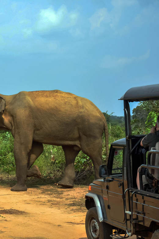 Ahangama: Udawalawe National Park Safari with Hotel Pickup - Small details that make the day easier