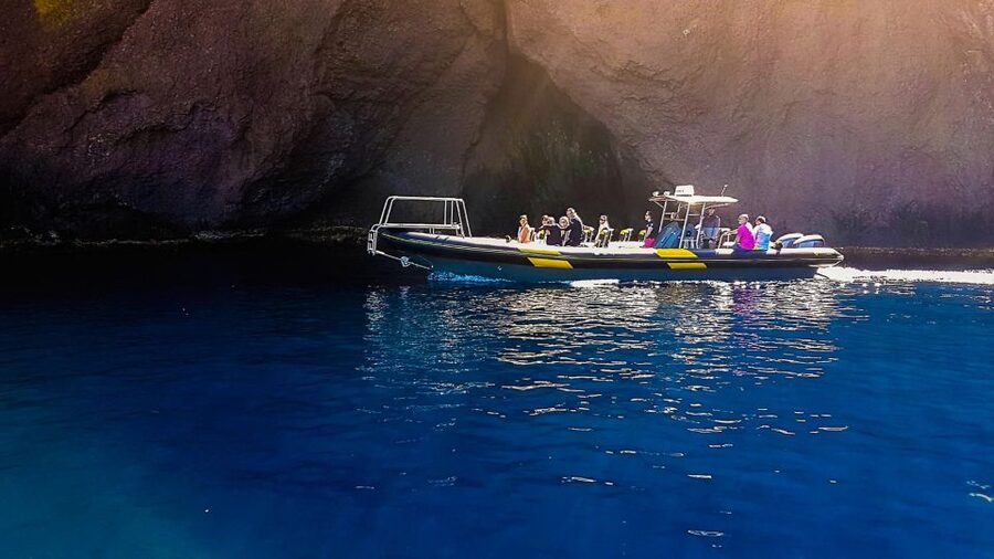 Ajaccio: Guided Scandola Nature Reserve Boat Tour - The guide and the feel of the day