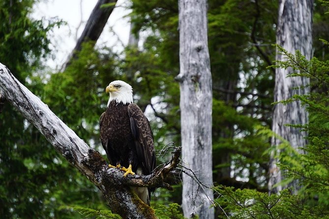 Alaska Ocean Wilderness Expedition - Weather, comfort, and the open-boat tradeoff