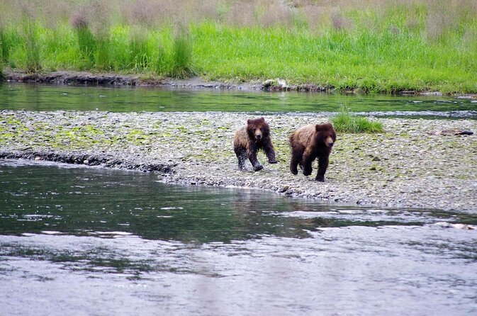 Alaska Ocean Wilderness Expedition - Searching the Inside Passage for marine life