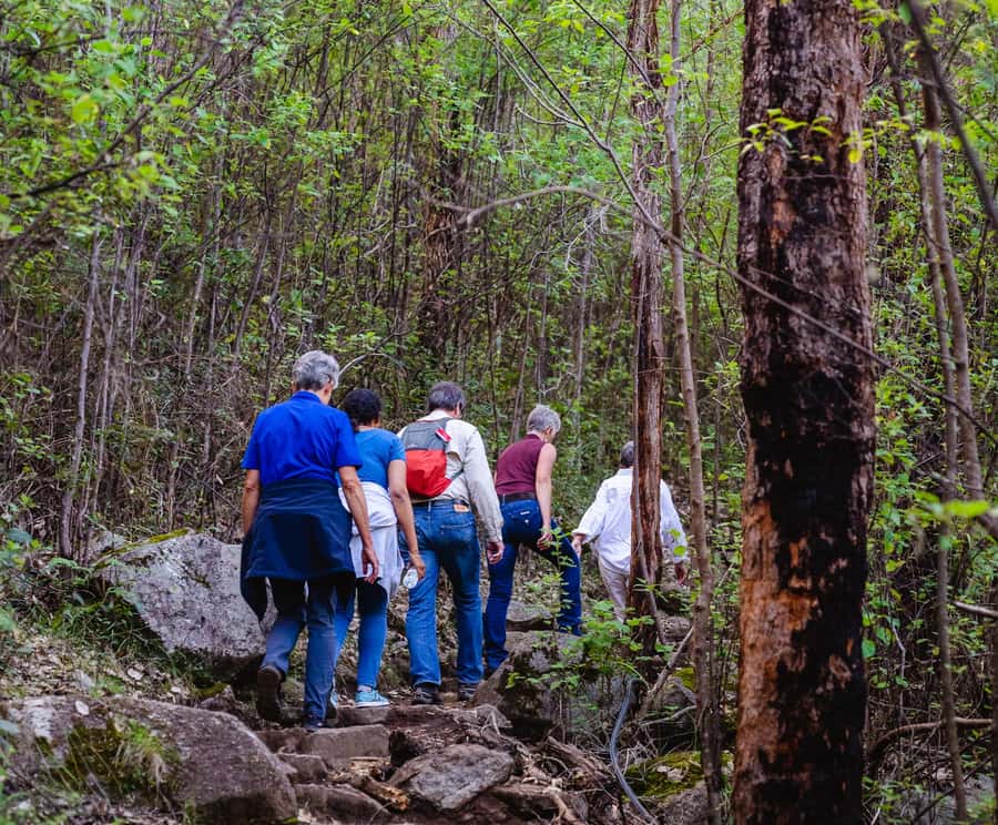 Albany: Guided Granite Skywalk in Porongurup National Park - Key points to know before booking