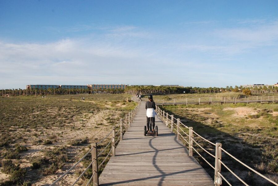 Albufeira: Salgados Nature Reserve Segway Tour - Who should book this Salgados ride?