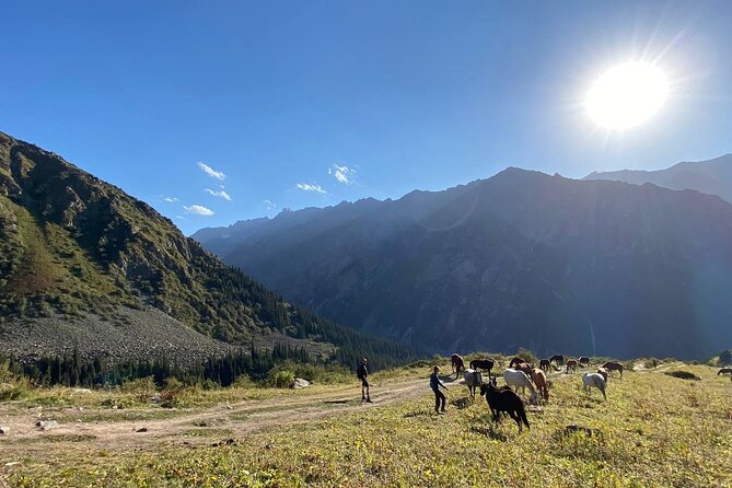 All in one-day: Bishkek city tour and Ala-Archa National Park - Philharmonic Hall and Bishkek’s Soviet-era center