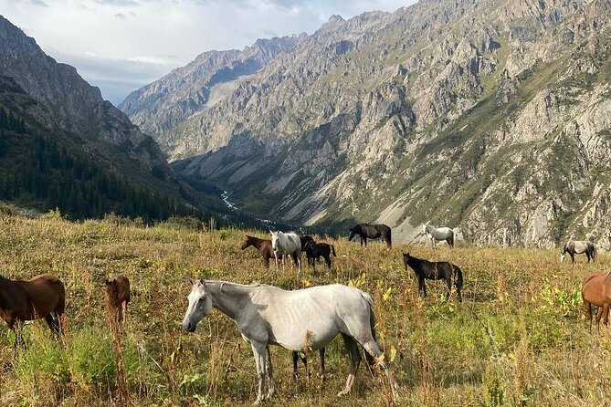 All in one-day: Bishkek city tour and Ala-Archa National Park - Guides, vehicles, and the private-tour question