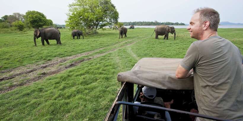 All-Inclusive Minneriya National Park Afternoon Safari - Elephants First, Then Sri Lanka’s Endemic Monkeys