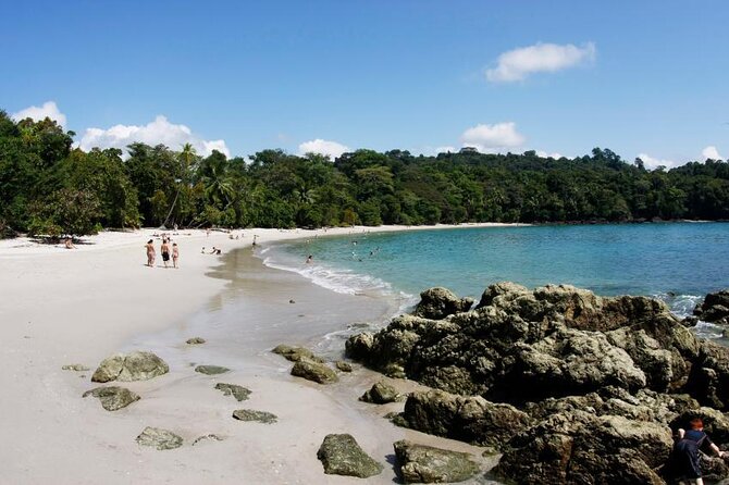 All Inclusive National Park Manuel Antonio with Binoculars - Key points to know before you book