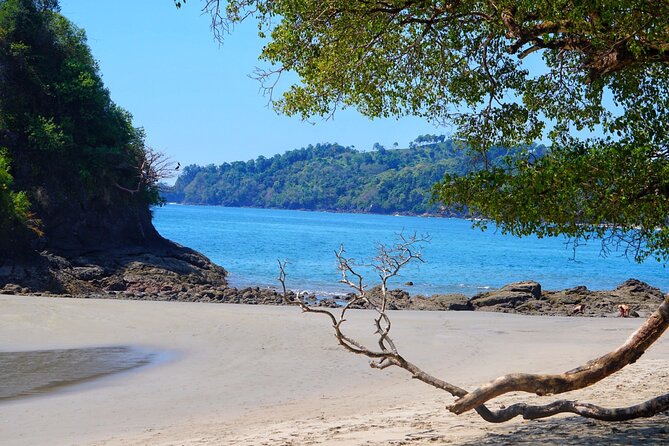 All Inclusive National Park Manuel Antonio with Binoculars - Why a guided visit makes Manuel Antonio easier
