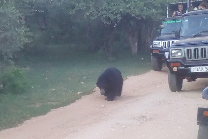 All inclusive Private jeep safari at Yala National park - A Long Road to Yala From Colombo
