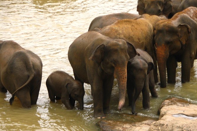 All inclusive Private jeep safari at Yala National park - Drop-Off in Tissamaharama
