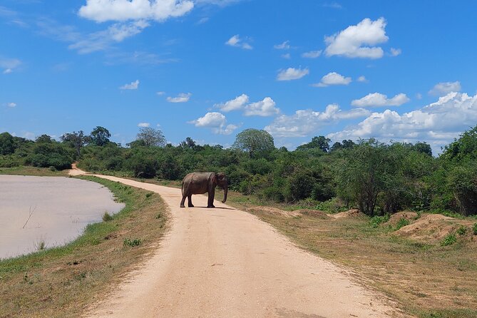 All Inclusive Udawalawe National Park Safari Day Tour from Colombo and Negombo - The parts you must plan yourself