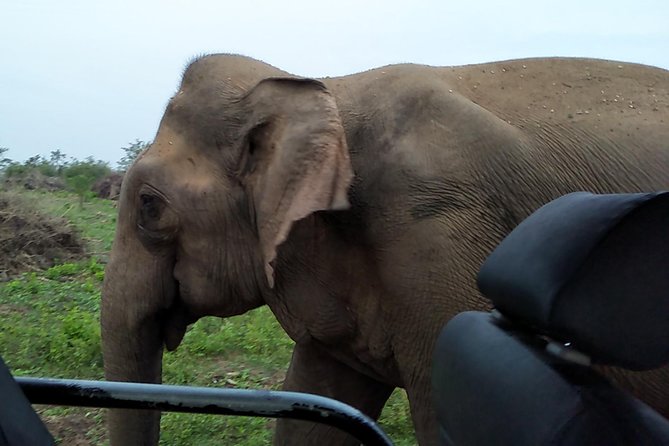 All Inclusive Udawalawe National Park Safari Day Tour from Colombo and Negombo - The road from Colombo or Negombo