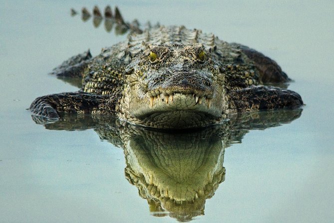 All Inclusive Wilpattu National Park Day Tour From Anuradhapura - Rice and curry at a local stop