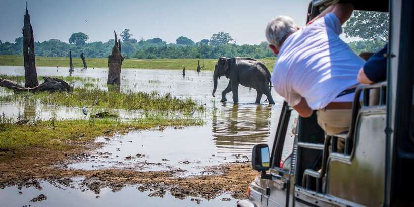 All inclussive Udawalawa National Park Safari From Colombo - A serious warning about the park and safari time