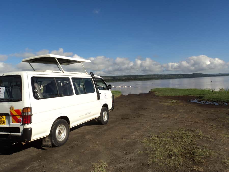 Amboseli National Park Day Trip from Nairobi - Key points to know before booking