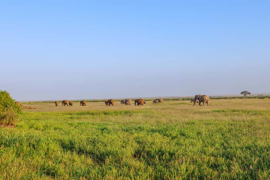 Amboseli National Park: Daytrip from Nairobi in a 4X4 Jeep - Simple packing advice for this full day