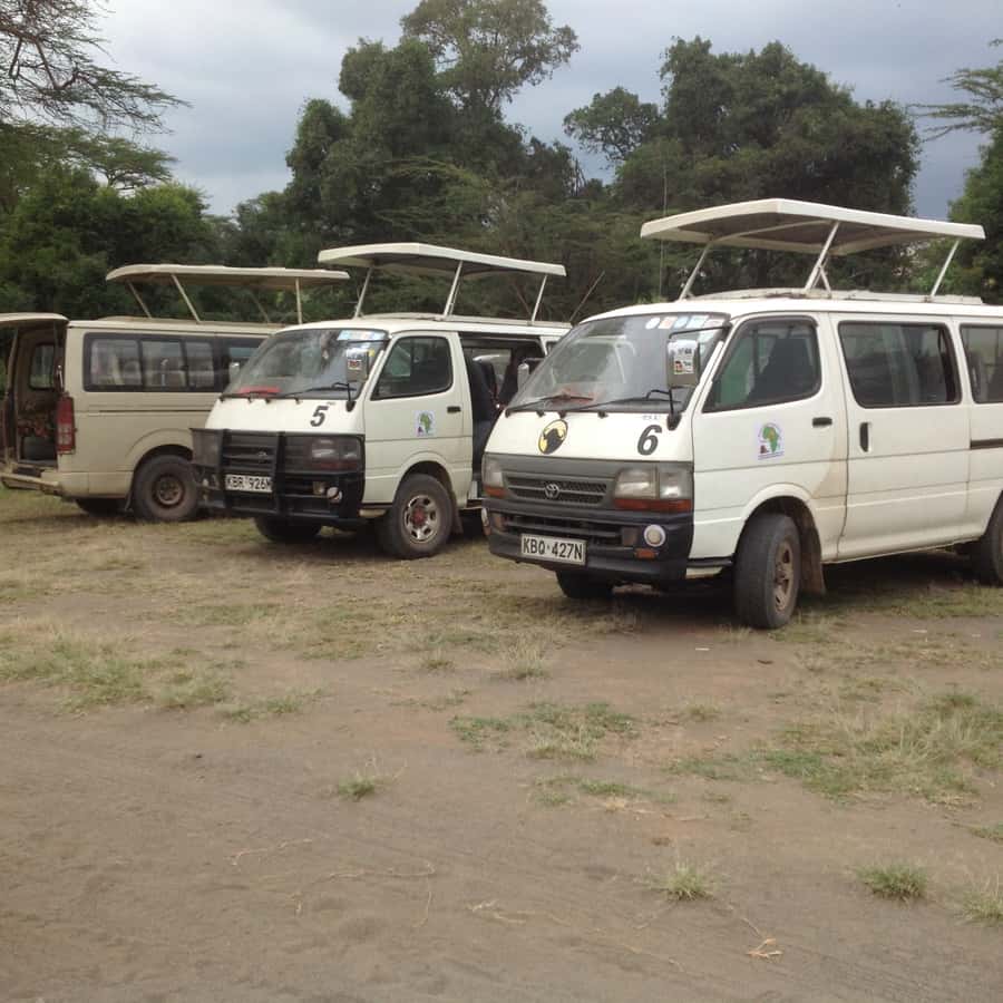Amboseli National Park: Full-Day Tour from Nairobi - Mount Kilimanjaro: The View That Depends on Conditions