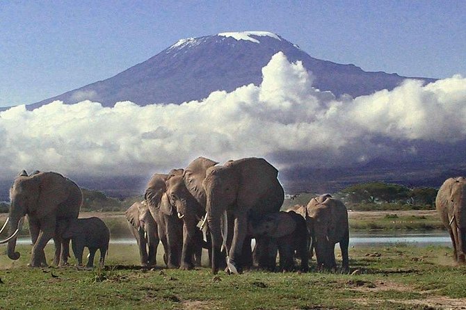 Amboseli National Park: Guided Full Day Tour - Entering Amboseli National Park