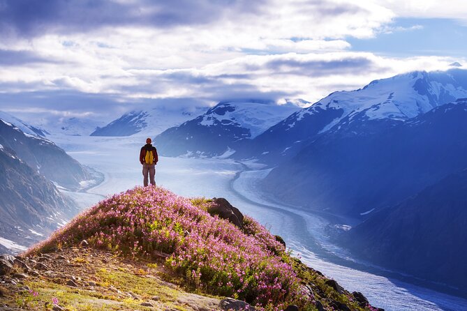 Anchorage: Kenai Fjords & Denali National Park 5 Day 4 Night Tour - Day 3: The long road to Seward