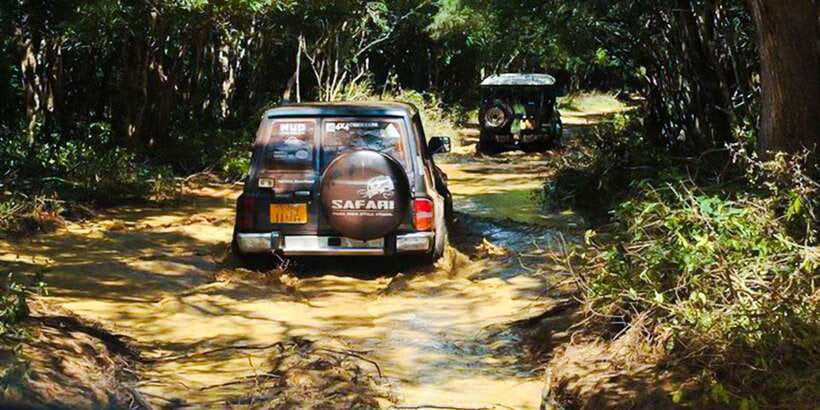 Anuradhapura: Full-Day Wilpattu All Inclusive Private Safari - Afternoon wildlife and the value of low traffic