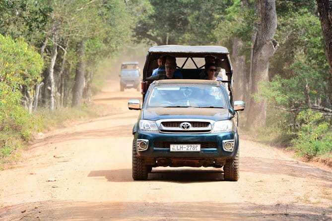 Anuradhapura: Full-Day Wilpattu National Park Private Safari - Breakfast beside the water