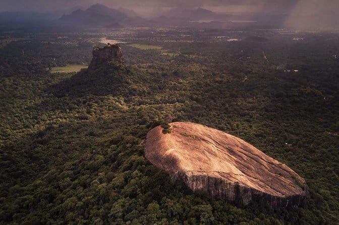 Anuradhapura: Full-Day Wilpattu National Park Private Safari - Wildlife you may see around the willus