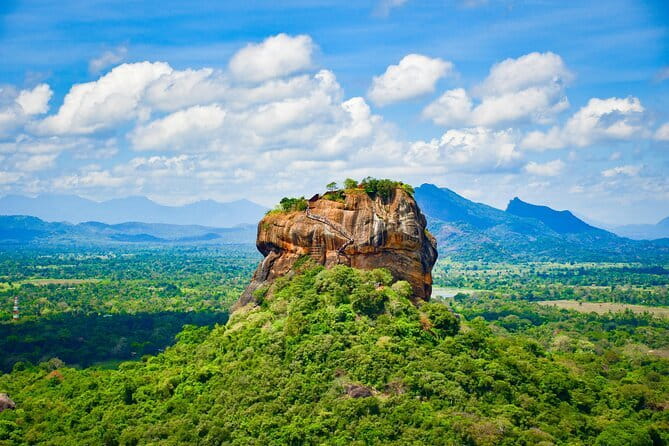 Anuradhapura: Full-Day Wilpattu National Park Private Safari - Is $130 per person good value?