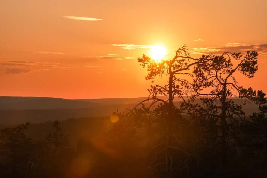 Arctic Wilderness Hike from Rovaniemi (Day & Evening) - Key points to know before booking