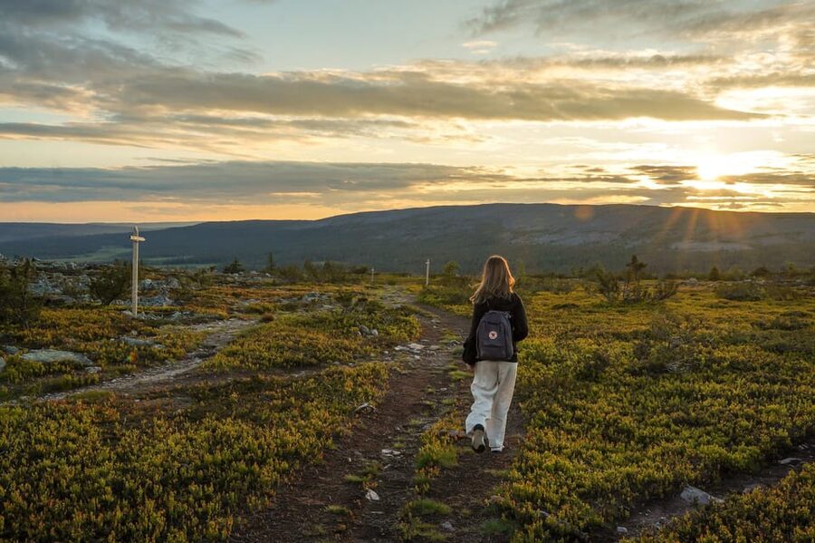 Arctic Wilderness Hike from Rovaniemi (Day & Evening) - Who should book this Rovaniemi hike?