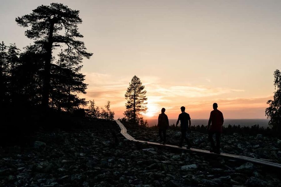 Arctic Wilderness Hike from Rovaniemi (Day & Evening) - Leaving Rovaniemi for the Arctic forest