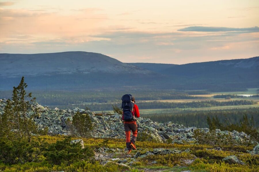 Arctic Wilderness Hike from Rovaniemi (Day & Evening) - Is $117 a fair price?