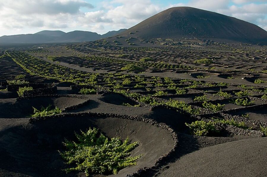 Arrecife/Playa Blanca: Timanfaya National Park Area Day Tour - Timanfaya gives this tour its real value