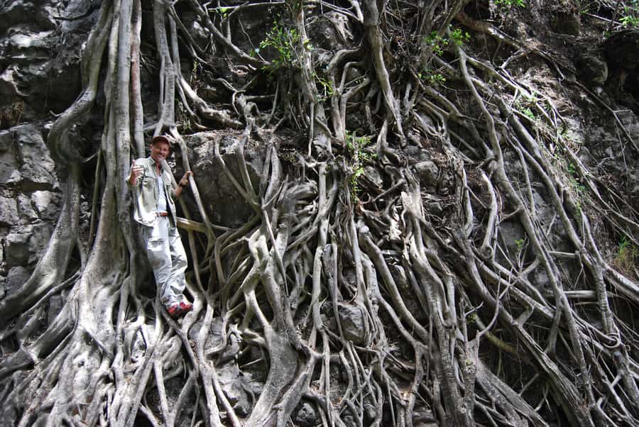 Arusha: Arusha National Park Day Trip w/ Game Drives & Lunch - Ngurdoto Crater and its unusual scale