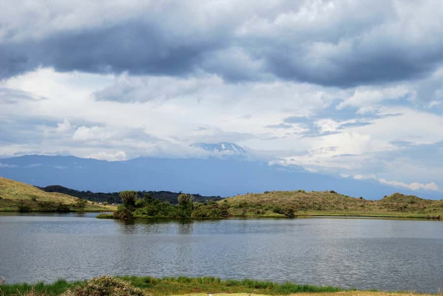 Arusha: Arusha National Park Day Trip w/ Game Drives & Lunch - Lunch at Momela Wildlife Lodge